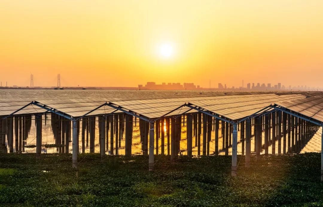 Beyond Success - www.jiuyou.com Achieved a Preferred Scale of 1120 MW in Jiangxi